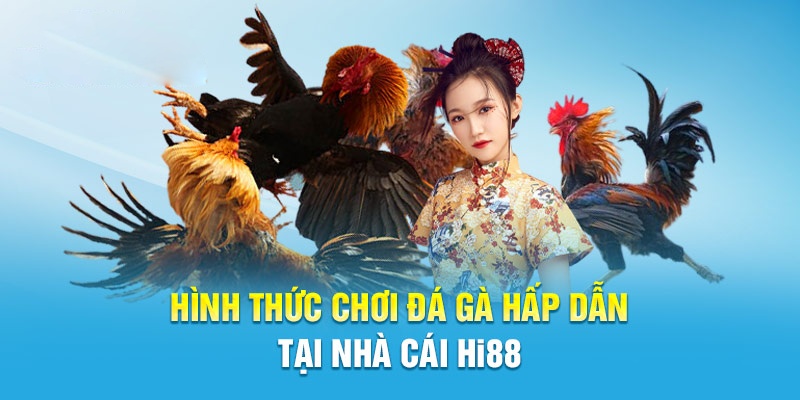 Mãn nhãn với các trận đấu Đá Gà kinh điển